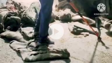 रैपुरा: पन्ना-कटनी रोड पर धान मिल में घुसा ब्लैक कोबरा, सर्प मित्र ओपी उरमलिया ने सुरक्षित रेस्क्यू किया