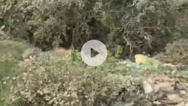 रुधौली: सिसवा गांव में जगह-जगह गंदगी का अंबार, ग्रामीणों ने जताई चिंता