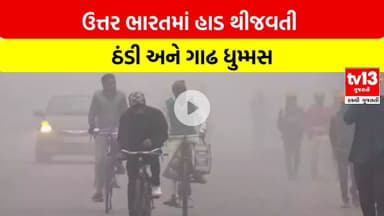 NorthIndia | ઉત્તર ભારતમાં હાડ થીજવતી ઠંડી અને ગાઢ ધુમ્મસ |tv13gujarati
