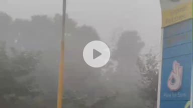 बेलागंज: बेलागंज में शीतलहर और घने कोहरे से जनजीवन प्रभावित, अलाव व्यवस्था को लेकर लोगों में नाराज़गी