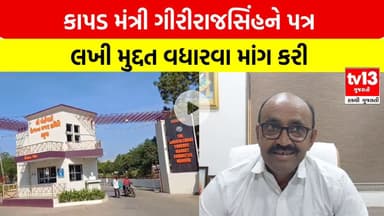 Bhavnagar | મહુવા માર્કેટિંગ યાર્ડના ચેરમેને ટેકાના ભાવે કપાસની ખરીદી અંગે રજૂઆત કરી