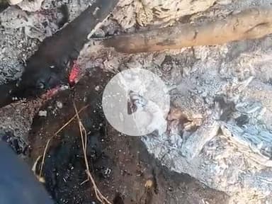 हेन्हे  नंदी पर में 2025 Good morning hjggvvvbbbhhhcchjfhjfzDJj