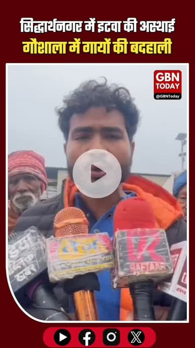 सिद्धार्थनगर यूपी | जनपद सिद्धार्थनगर के इटवा तहसील अंतर्गत ग्राम बसन्तपुर में बनी अस्थाई गौशाला में गायों की बेहद