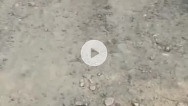 रुधौली: बस्ती: ग्राम पंचायत रौनहिया को जोड़ने वाली सड़क जर्जर, राहगीर हो रहे परेशान