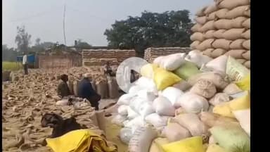 मऊगंज: मऊगंज में धान खरीदी बेपटरी, 4 लाख क्विंटल धान खुले आसमान के नीचे, भुगतान में देरी से किसान परेशान