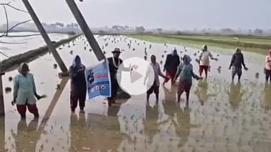 అనంతగిరి: అనంతగిరిలో మత్తుపదార్థాలపై పొలం బాట పట్టిన ప్రభుత్వ ఉపాధ్యాయుడు