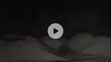 हिण्डोली: डाबी के पराना गाँव में पैंथर द्वारा गाय का शिकार करने से ग्रामीणों में दहशत का माहौल