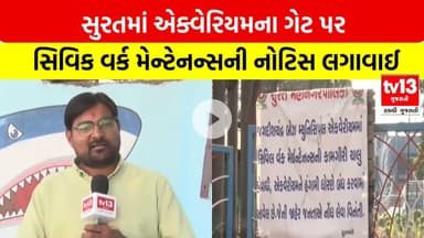 Surat | એક્વેરિયમના ગેટ પર સિવિક વર્ક મેન્ટેનન્સની નોટિસ લગાવાઈ | tv13 Gujarati