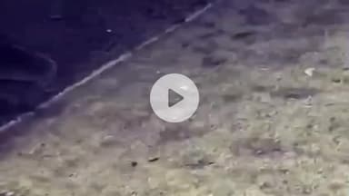 અમદાવાદ શહેર: અમદાવાદઃ બાગબાન ચાર રસ્તા પાસે અકસ્માત, ડંપર ચાલકે બાઇક સવારે અડફેટે લેતા અકસ્માત