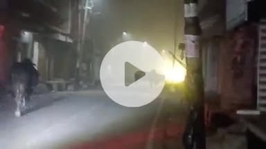 फतेहाबाद: कड़ाके की सर्दी में फतेहाबाद में रात होते ही छाई कोहरे की चादर, सड़कों पर पसरा सन्नाटा, दृश्यता हुई शून्य