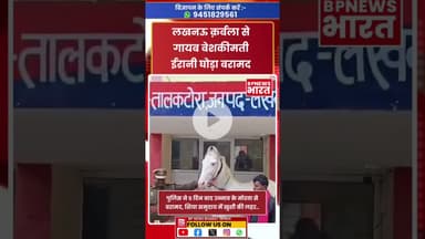 लखनऊ कर्बला से गायब ईरानी घोड़ा उन्नाव में बरामद हुआ #shia #karbala #iran #lucknow #breakingnews
