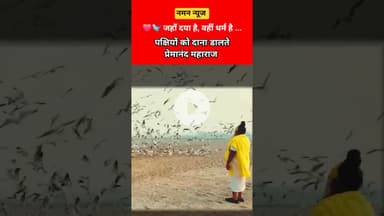 ❤️🐦 जहाँ दया है, वहीं धर्म है — पक्षियों को दाना डालते प्रेमानंद महाराज🙏 #premanandjimaharaj #bird