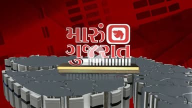 tv13 Gujarati LIVE। 29 Dec । 07 PM News। 07 વાગ્યા સુધીના મહત્વના સમાચાર