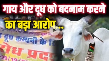 गौ-पालन को बदनाम करने का आरोप, वचन डेयरी के खिलाफ यादव समाज का आंदोलन!#गौमाता #news #गौसेवक #गौरक्षा