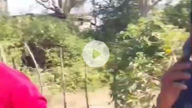 मंदसौर: जग्गाखेड़ी रोड पर मछली लेकर आ रहे अनवर से 9 लोगों ने की मारपीट, वीडियो वायरल, मामला दर्ज