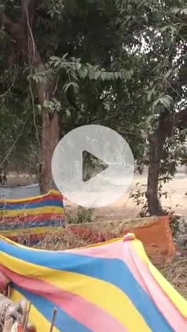 ग्राम आमगाछी पोस्ट बिशनपुर थाना रंगा जिला साहेबगंज के रहने वाले एक युवक ने की 8 कुते का बच्चे के बेरहम  से की मोत