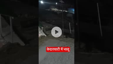 केदारघाटी में भालू  #bear