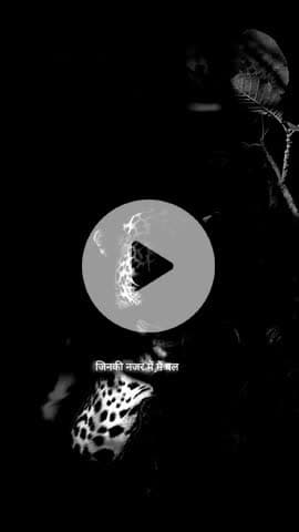 #राधे-राधे #माँ_विंध्यवासिनी #राधे #हरहरमहादेवहाकाल #mahakaal #ॐ #krishnaquotes #mathura #vishnu #spirituality #trending