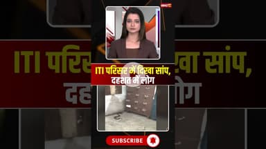 ITI परिसर में दिखा सांप, दहशत में लोग #snake #snakevideo #viralvideo #mpnews #seoni