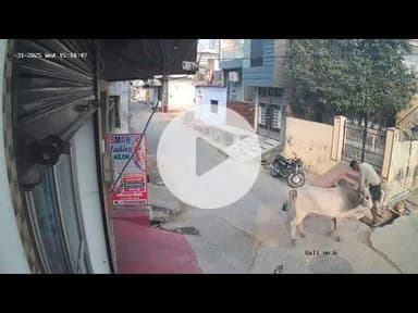 #Kota_कोटा में सांड ने युवक को सींग से उठाकर पटका, लोगों ने युवक को सीपीआर दी, CCTV में कैद हुई घटना