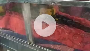 காரியாபட்டி: காரியாபட்டியில் திரைப்பட பின்னணி பாடகி லட்சுமி அம்மாள் உடல் நலக்குறைவால் உயிரிழந்தார்