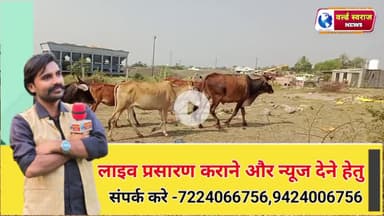 सिंगाजी धाम गौ भक्त की गाय सुनती है पुकार 
 #viral #news #shortvideos #trand #viralvideos #latestnew