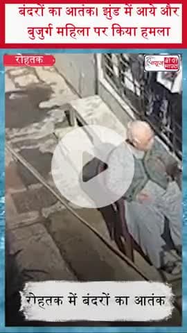 रोहतक: बंदरों का आतंक। झुंड में आये और बुजुर्ग महिला पर किया हमला 
#Rohtak #MonkeyAttack