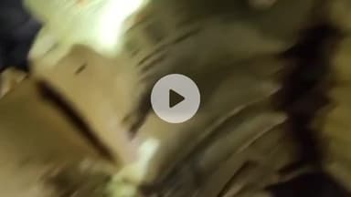 आदापुर: इनरवा से अवैध खाद्य के 46 बोरा यूरिया किया गया ज़ब्त