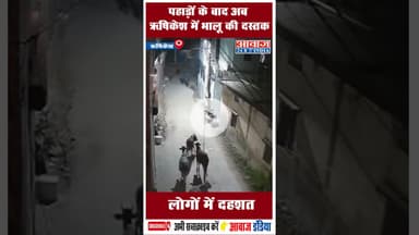 पहाड़ों के बाद अब ऋषिकेश में भालू की दस्तक लोगों में दहशत #Rishikesh #vanvibhag  #uttarakhand