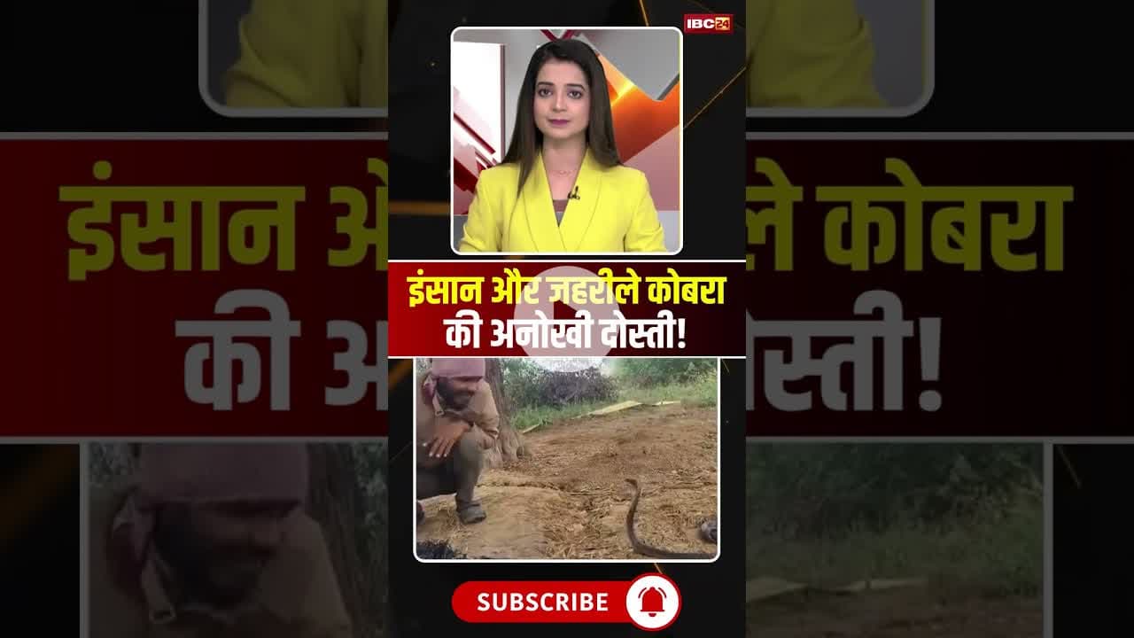 इंसान और जहरीले कोबरा की अनोखी दोस्ती! #snake #snakevideo #kingcobra #viralvideo #viralnews
