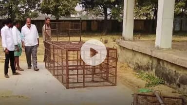 గోవిందరావుపేట: ఎన్నికల హామీలో ఇచ్చిన మాట కోసం గోవిందరావుపేటలో కోతుల వేట!