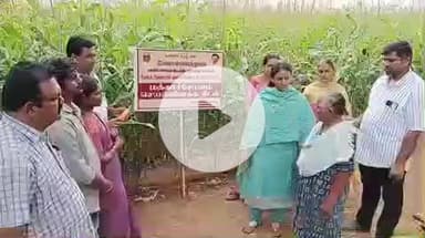 திருச்செங்கோடு: ஆனங்கூரில் நுண்ணீர் பாசனத் திட்டம் துளி நீரில் அதிக பயிர்திட்டத்தில் பயன்பெறும் பகுதியை ஆட்சியர் ஆய்வு செய்தார்