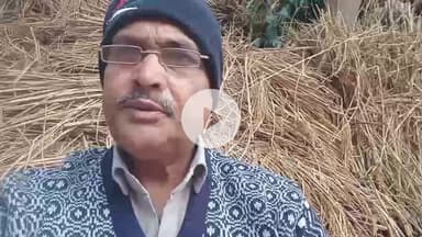 बिहार के किसानों को नहीं मिल रहा है धान का समर्थन मूल्य