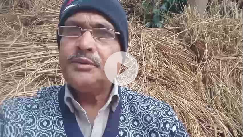 बिहार के किसानों को नहीं मिल रहा है धान का समर्थन मूल्य