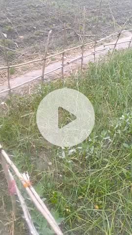 🤪🤪🤪😆😆😆😆🤪😅😀😀😆😅🤤🤤🤩🤩#🥰🥰🥰🥰