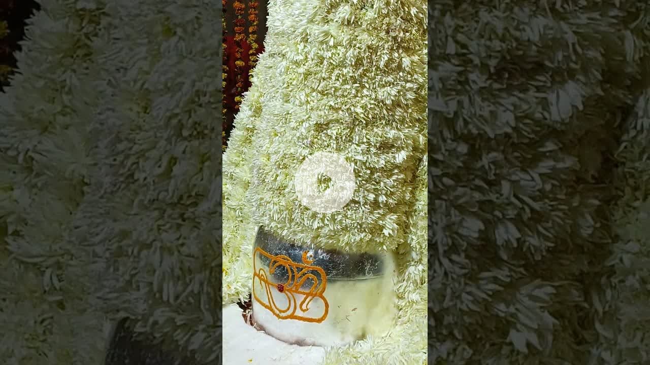 जय बाबा की #satyawadimedia #neelkanthmandir #neelkanthmahadev #thesatyawadishow #boltadausa #reel