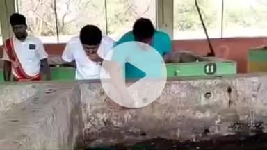 திருப்பூர் வடக்கு: கல்லாங்குத்து பகுதிகள் நுண் உரமாக்கும் மையத்தில் மாநகராட்சி மேயர் நேரில் ஆய்வு மேற்கொண்டார்