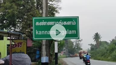 ஆரணி: மர்ம விலங்குக்கு விவசாய நிலத்தில் வைத்த நாட்டு வெடிகுண்டு வெடித்து நாய் பரிதாபமாக உயிரிழப்பு