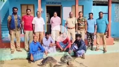 கீழக்கரை: அப்பா தீவு அருகே ஆமைகளை வேட்டையாடிய நான்கு பேர் கைது வனத்துறை நடவடிக்கை