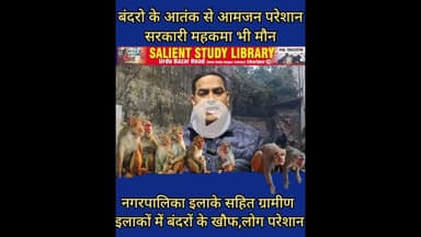 कैसे मिले बंदरो के आतंक से लोगो को राहत? #How can #people get #relief from the #terror of #monkeys?