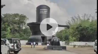 மயிலாடுதுறை: சித்த மருத்துவம் யோகா இவற்றில் தேர்ச்சி பெற்ற கஜகஸ்தான் நாட்டை சேர்ந்த இரண்டு பேருக்கு பாராட்டு தெரிவிக்கும் நிகழ்ச்சி