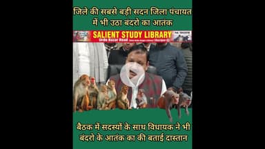 बंदरो के आतंक से जनप्रतिनिधि भी परेशान,विभाग मस्त #Even #public #representatives are #troubled by...