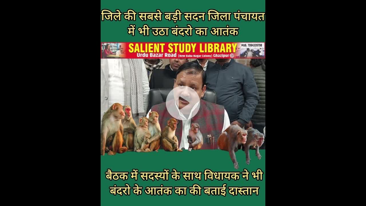 बंदरो के आतंक से जनप्रतिनिधि भी परेशान,विभाग मस्त #Even #public #representatives are #troubled by...