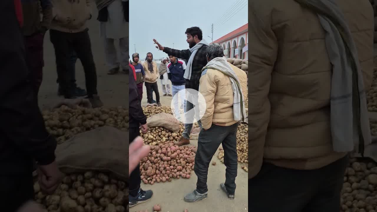 कल से आज आलू के भाव में हुआ बड़ा बदलाव ठठिया मंडी कन्नौज में #potatofarming