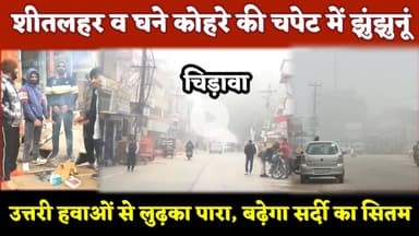 #शीतलहर व घने कोहरे की चपेट में #झुंझुनूं, उत्तरी हवाओं से लुढ़का पारा, बढ़ेगा #सर्दी का सितम #news