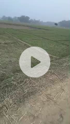 lalva Rahi bheja ward number 2