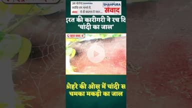 शाहपुरा संवाद | कुदरत की कारीगरी ने रच दिया ‘चांदी का जाल’ #shahpurasamvad #9414677775