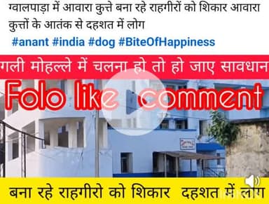 ग्वालपाड़ा में आवारा कुत्ते बना रहे राहगीरों को शिकार आवारा कुत्तों के आतंक से दहशत में लोग 
 #anant #india #dog #BiteOfH