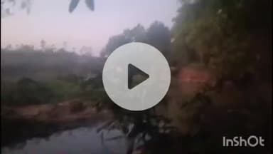 କେନ୍ଦୁଝର ସଦର: କେନ୍ଦେଇପଶି ଓ ଜହ୍ନେଇପଶି ମଝିରେ ଥିବା ଶାଳ ଜଙ୍ଗଲରେ ପଚିଶ ଦଳିଆ ହାତୀପଲ