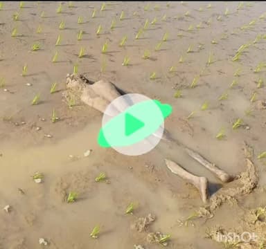 హసన్​పర్తి: అనంత సాగర్ శివారులోని సుమతి రెడ్డి ఇంజనీరింగ్ కాలేజీ సమీపంలోని ఓ రైతు పొలంలో  నగ్నంగా వ్యక్తి మృతదేహం